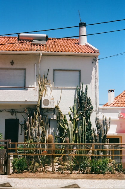 Cleaning Services You Can Trust